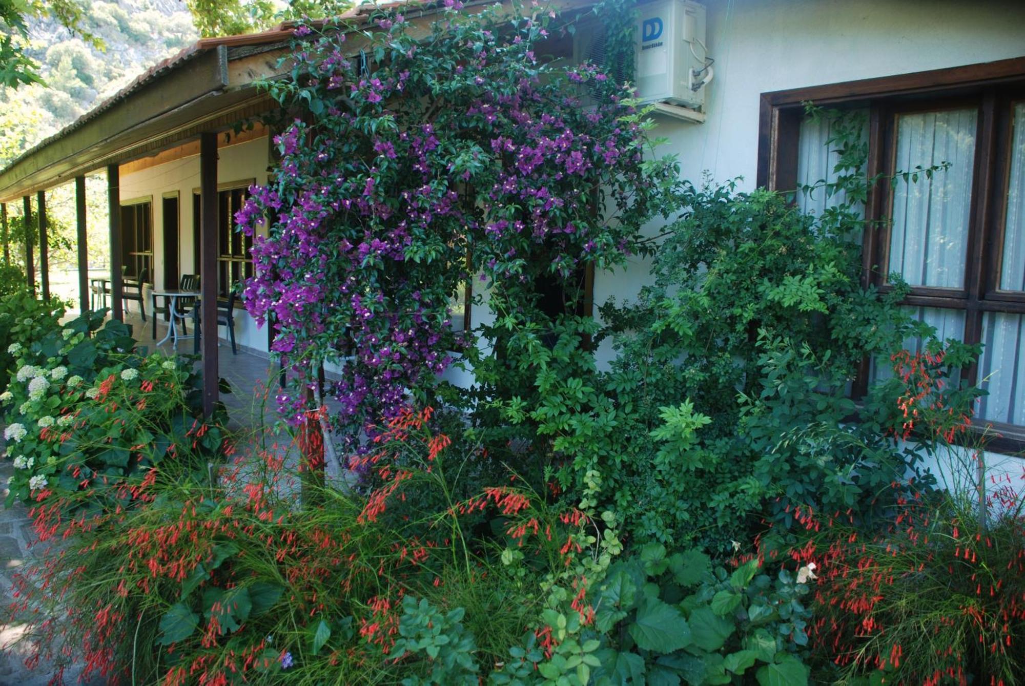 Dolunay Apart Hotel Çıralı Exteriér fotografie