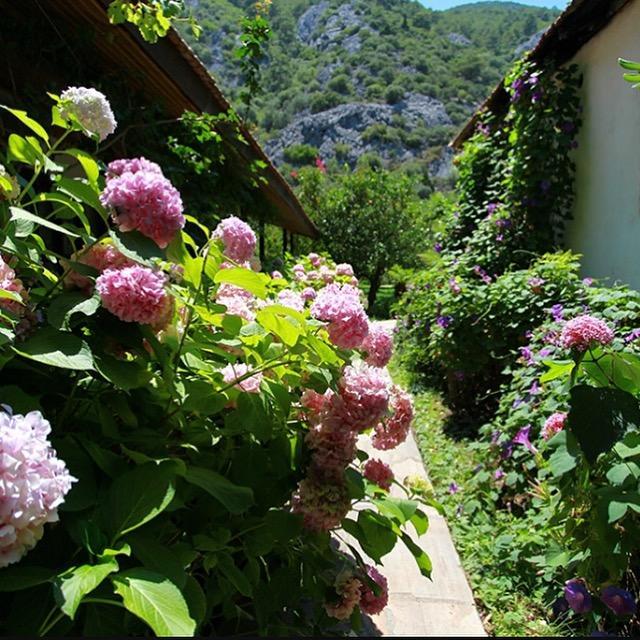 Dolunay Apart Hotel Çıralı Exteriér fotografie
