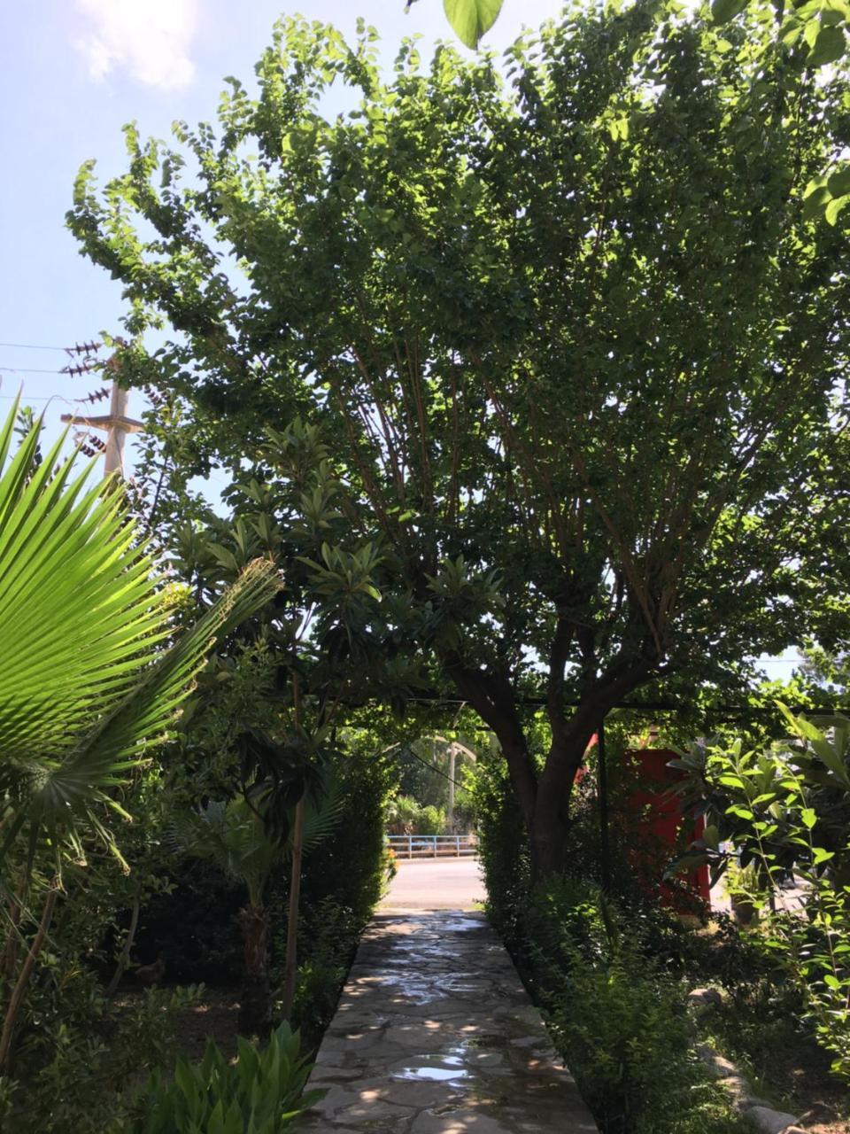 Dolunay Apart Hotel Çıralı Exteriér fotografie
