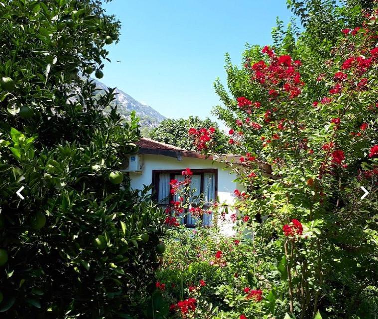 Dolunay Apart Hotel Çıralı Exteriér fotografie