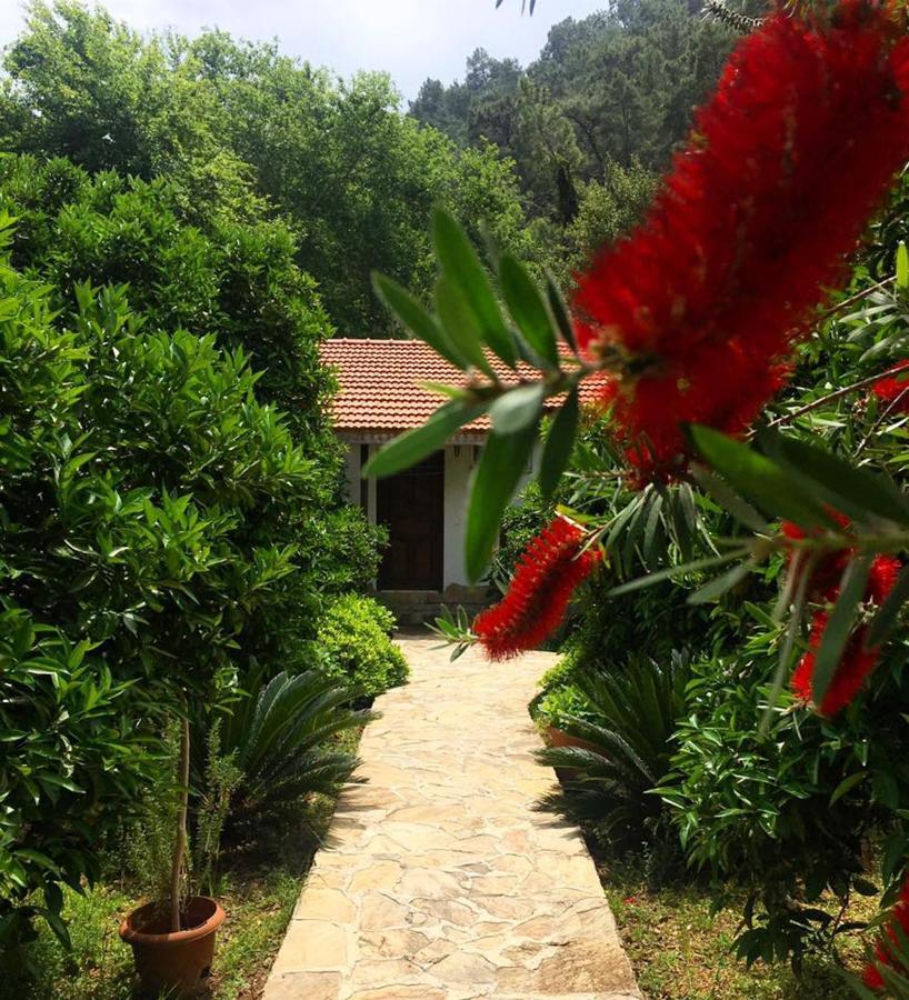 Dolunay Apart Hotel Çıralı Exteriér fotografie